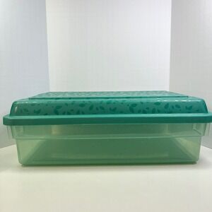 Rubbermaid Green Leaf Pattern Storage Container with Lid Rectangular Teal 221C